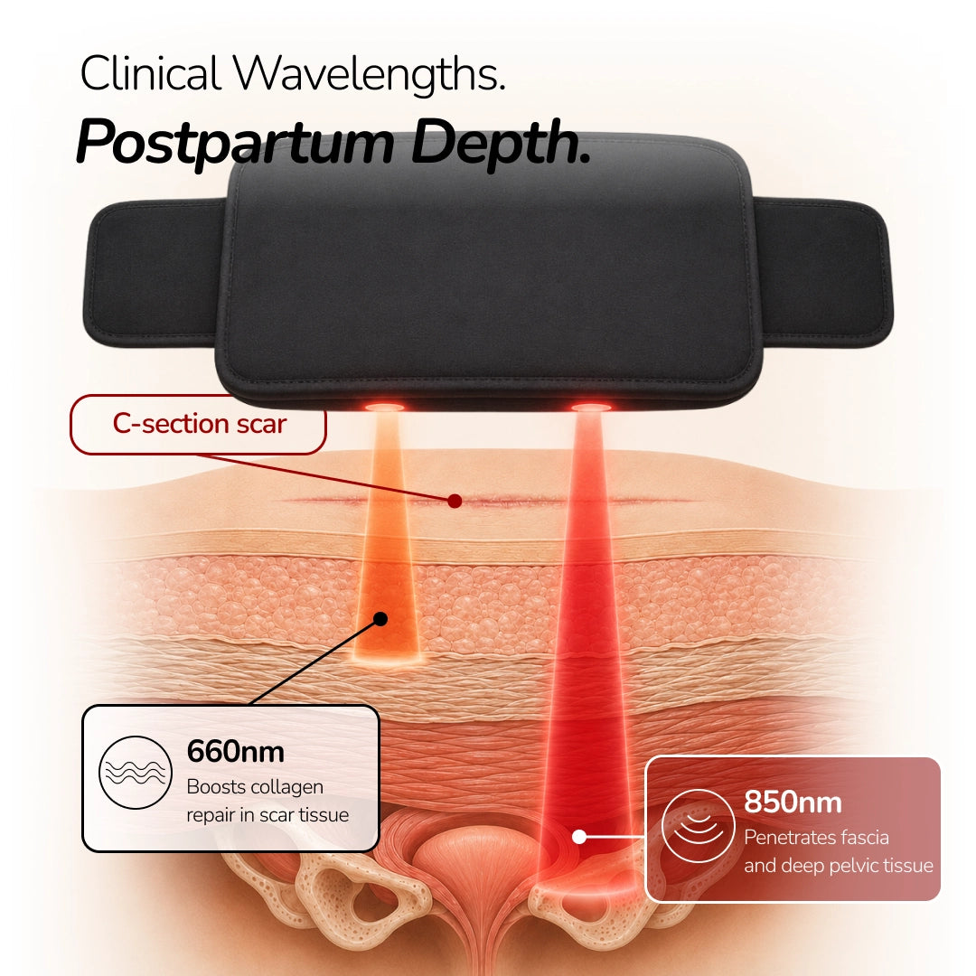MaiaNuva Postpartum Red Light Recovery Belt